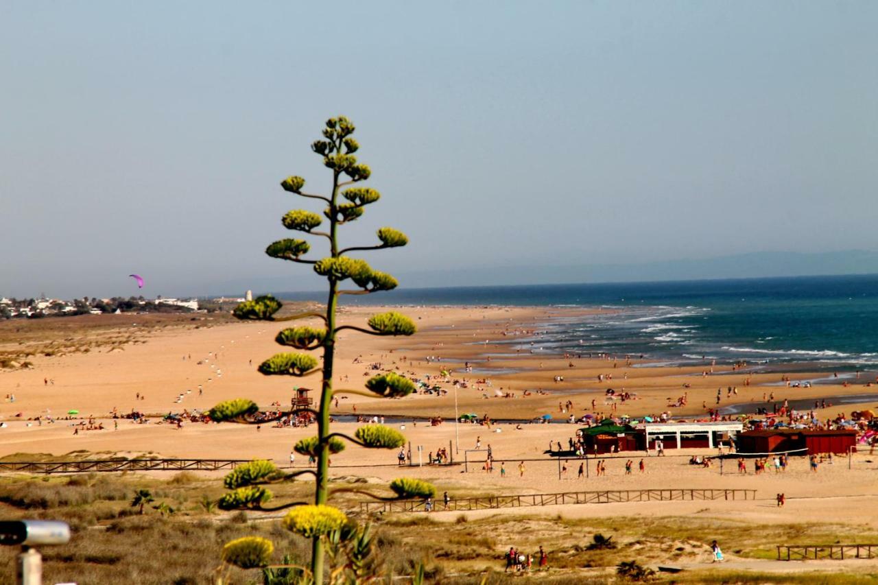 Cerca De La Playa *